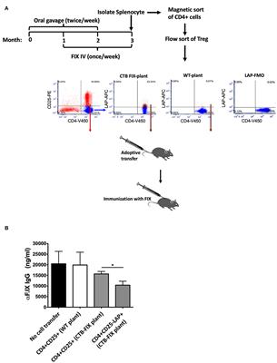 Role of Small Intestine and Gut Microbiome in Plant-Based Oral Tolerance for Hemophilia